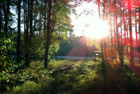 Sonnenaufgang &uuml;ber einer Schneise